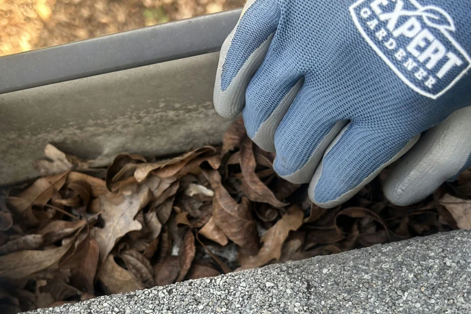 Gutter Cleaning Kure Beach